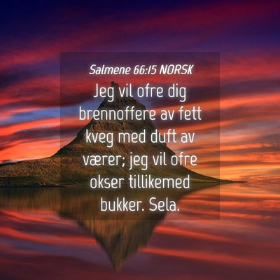 Picture 04 - Salmene 66:15 NORSK - Jeg vil ofre dig brennoffere av fett kveg med - Bible Verse Picture