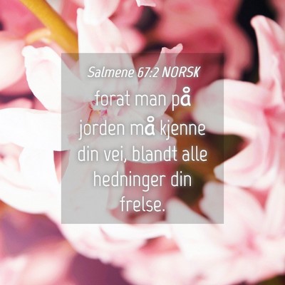 Picture 04 - Salmene 67:2 NORSK - forat man på jorden må kjenne din vei, blandt - Bible Verse Picture