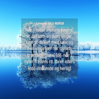 Picture 04 - Salmene 68:13 NORSK - Når I hviler mellem kveene, er det som en dues - Bible Verse Picture