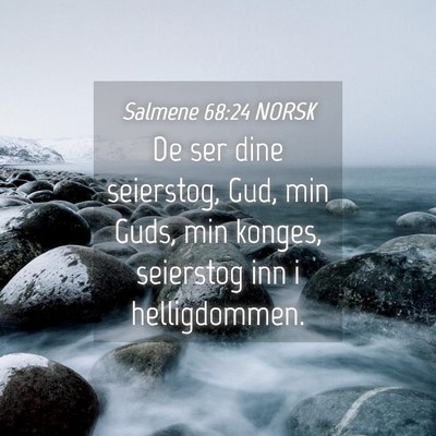 Picture 04 - Salmene 68:24 NORSK - De ser dine seierstog, Gud, min Guds, min konges, - Bible Verse Picture