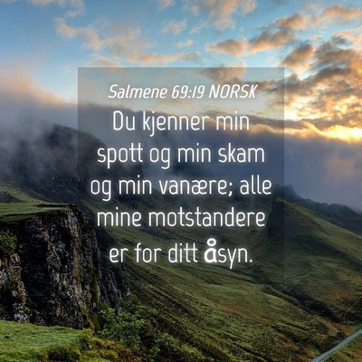 Picture 04 - Salmene 69:19 NORSK - Du kjenner min spott og min skam og min vanære; - Bible Verse Picture