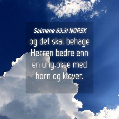 Picture 04 - Salmene 69:31 NORSK - og det skal behage Herren bedre enn en ung okse - Bible Verse Picture