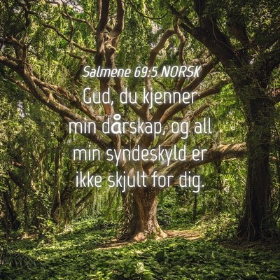 Picture 04 - Salmene 69:5 NORSK - Gud, du kjenner min dårskap, og all min - Bible Verse Picture