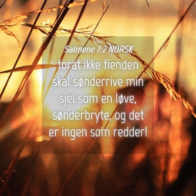 Picture 04 - Salmene 7:2 NORSK - forat ikke fienden skal sønderrive min sjel som - Bible Verse Picture