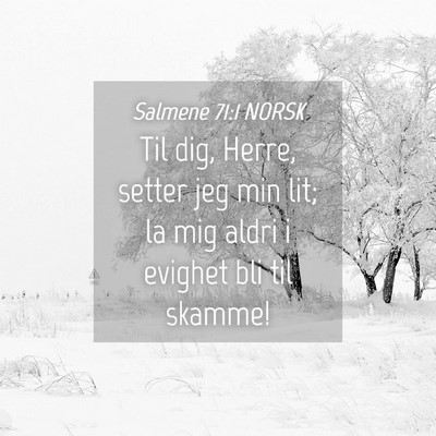 Picture 04 - Salmene 71:1 NORSK - Til dig, Herre, setter jeg min lit; la mig aldri - Bible Verse Picture