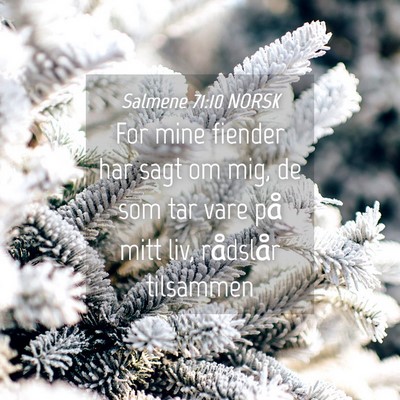Picture 04 - Salmene 71:10 NORSK - For mine fiender har sagt om mig, de som tar vare - Bible Verse Picture
