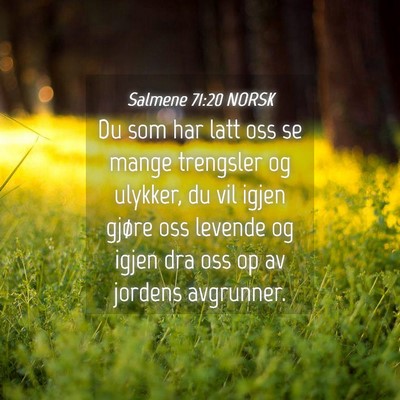 Picture 04 - Salmene 71:20 NORSK - Du som har latt oss se mange trengsler og - Bible Verse Picture
