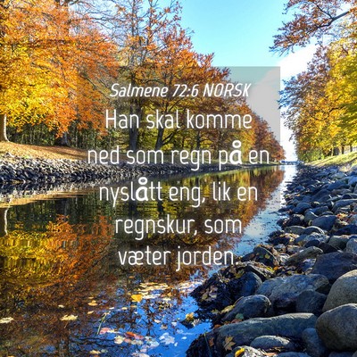 Picture 04 - Salmene 72:6 NORSK - Han skal komme ned som regn på en nyslått eng, - Bible Verse Picture