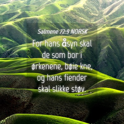 Picture 04 - Salmene 72:9 NORSK - For hans åsyn skal de som bor i ørkenene, bøie - Bible Verse Picture