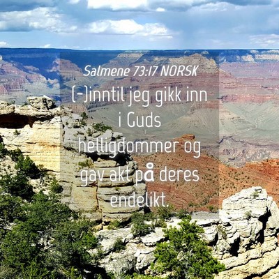 Picture 04 - Salmene 73:17 NORSK - (-)inntil jeg gikk inn i Guds helligdommer og gav - Bible Verse Picture