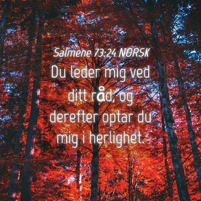 Picture 04 - Salmene 73:24 NORSK - Du leder mig ved ditt råd, og derefter optar du - Bible Verse Picture