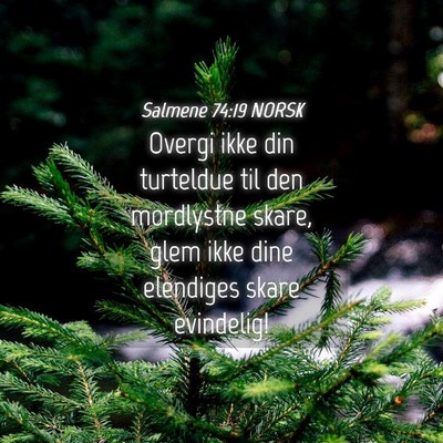 Picture 04 - Salmene 74:19 NORSK - Overgi ikke din turteldue til den mordlystne - Bible Verse Picture