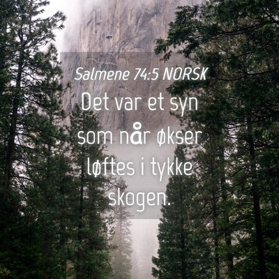 Picture 04 - Salmene 74:5 NORSK - Det var et syn som når økser løftes i tykke - Bible Verse Picture