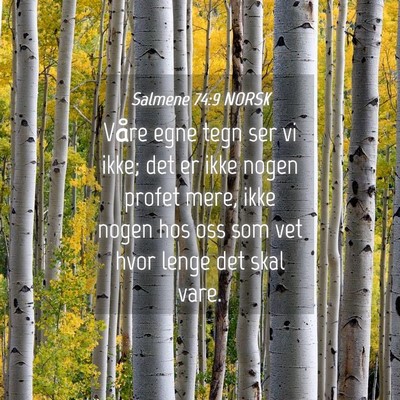 Picture 04 - Salmene 74:9 NORSK - Våre egne tegn ser vi ikke; det er ikke nogen - Bible Verse Picture