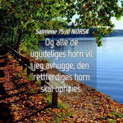 Picture 04 - Salmene 75:10 NORSK - Og alle de ugudeliges horn vil jeg avhugge, den - Bible Verse Picture