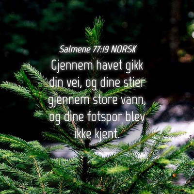 Picture 04 - Salmene 77:19 NORSK - Gjennem havet gikk din vei, og dine stier gjennem - Bible Verse Picture