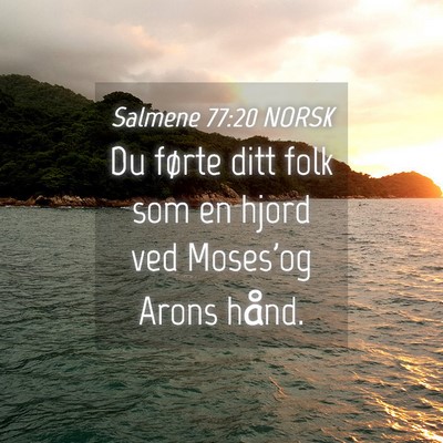 Picture 04 - Salmene 77:20 NORSK - Du førte ditt folk som en hjord ved Moses'og - Bible Verse Picture