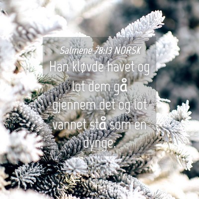 Picture 04 - Salmene 78:13 NORSK - Han kløvde havet og lot dem gå gjennem det og - Bible Verse Picture