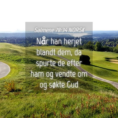 Picture 04 - Salmene 78:34 NORSK - Når han herjet blandt dem, da spurte de efter - Bible Verse Picture