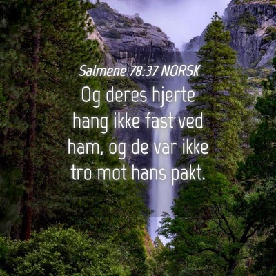 Picture 04 - Salmene 78:37 NORSK - Og deres hjerte hang ikke fast ved ham, og de var - Bible Verse Picture
