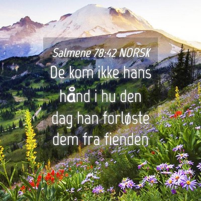 Picture 04 - Salmene 78:42 NORSK - De kom ikke hans hånd i hu den dag han forløste - Bible Verse Picture