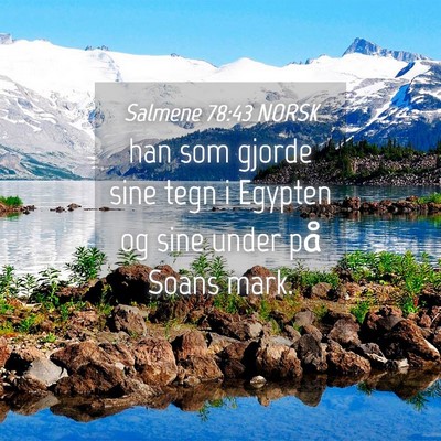 Picture 04 - Salmene 78:43 NORSK - han som gjorde sine tegn i Egypten og sine under - Bible Verse Picture