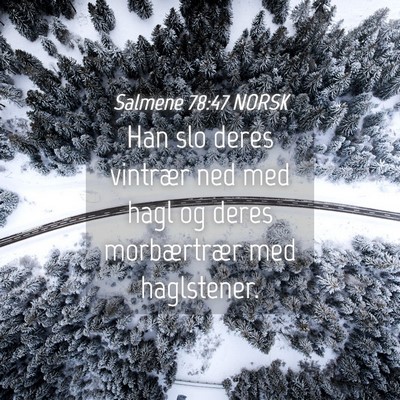 Picture 04 - Salmene 78:47 NORSK - Han slo deres vintrær ned med hagl og deres - Bible Verse Picture