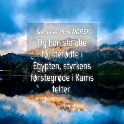 Picture 04 - Salmene 78:51 NORSK - Og han slo alle førstefødte i Egypten, styrkens - Bible Verse Picture