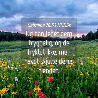 Picture 04 - Salmene 78:53 NORSK - Og han ledet dem tryggelig, og de fryktet ikke, - Bible Verse Picture