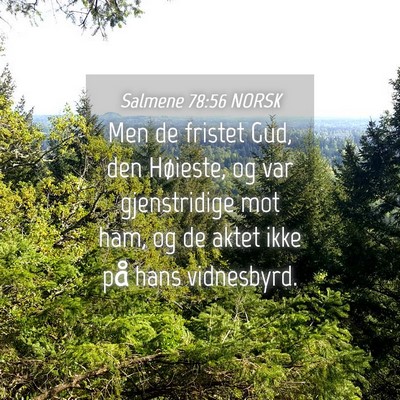 Picture 04 - Salmene 78:56 NORSK - Men de fristet Gud, den Høieste, og var - Bible Verse Picture