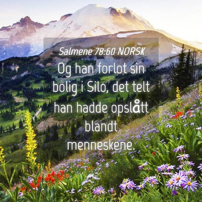 Picture 04 - Salmene 78:60 NORSK - Og han forlot sin bolig i Silo, det telt han - Bible Verse Picture