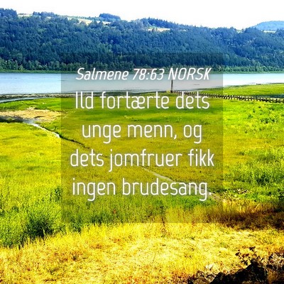 Picture 04 - Salmene 78:63 NORSK - Ild fortærte dets unge menn, og dets jomfruer - Bible Verse Picture
