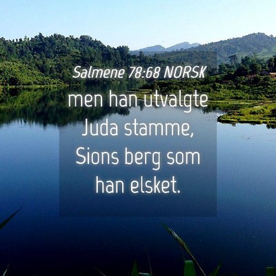 Picture 04 - Salmene 78:68 NORSK - men han utvalgte Juda stamme, Sions berg som han - Bible Verse Picture