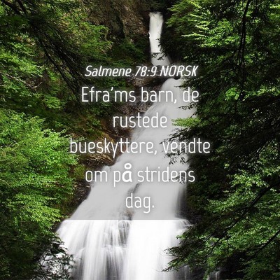 Picture 04 - Salmene 78:9 NORSK - Efra'ms barn, de rustede bueskyttere, vendte om - Bible Verse Picture