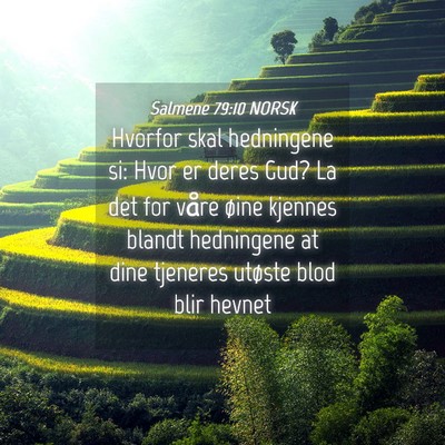 Picture 04 - Salmene 79:10 NORSK - Hvorfor skal hedningene si: Hvor er deres Gud? La - Bible Verse Picture