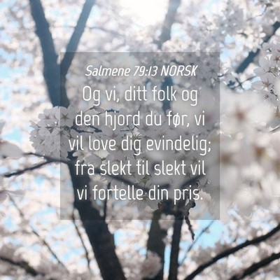 Picture 04 - Salmene 79:13 NORSK - Og vi, ditt folk og den hjord du før, vi vil - Bible Verse Picture