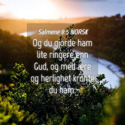Picture 04 - Salmene 8:5 NORSK - Og du gjorde ham lite ringere enn Gud, og med - Bible Verse Picture