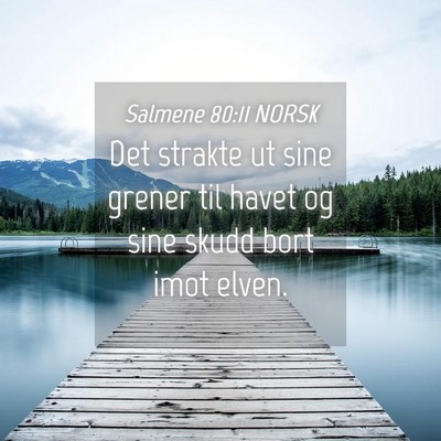 Picture 04 - Salmene 80:11 NORSK - Det strakte ut sine grener til havet og sine - Bible Verse Picture