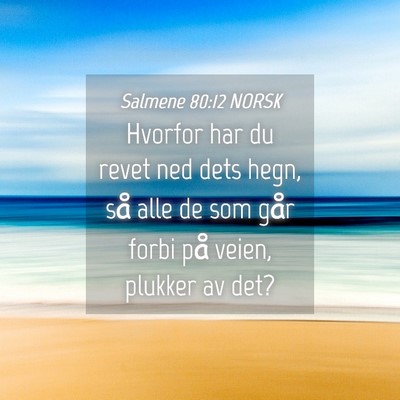 Picture 04 - Salmene 80:12 NORSK - Hvorfor har du revet ned dets hegn, så alle de - Bible Verse Picture