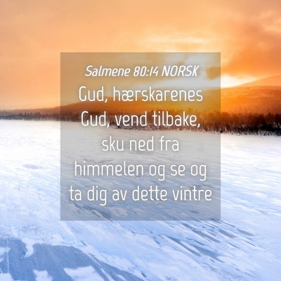 Picture 04 - Salmene 80:14 NORSK - Gud, hærskarenes Gud, vend tilbake, sku ned fra - Bible Verse Picture