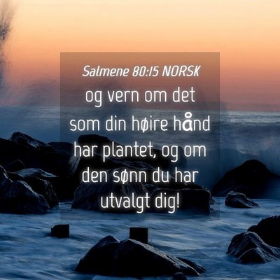Picture 04 - Salmene 80:15 NORSK - og vern om det som din høire hånd har plantet, - Bible Verse Picture
