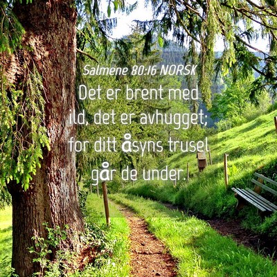 Picture 04 - Salmene 80:16 NORSK - Det er brent med ild, det er avhugget; for ditt - Bible Verse Picture