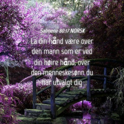 Picture 04 - Salmene 80:17 NORSK - La din hånd være over den mann som er ved din - Bible Verse Picture