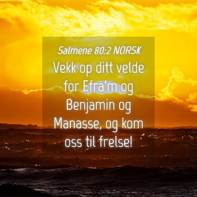 Picture 04 - Salmene 80:2 NORSK - Vekk op ditt velde for Efra'm og Benjamin og - Bible Verse Picture