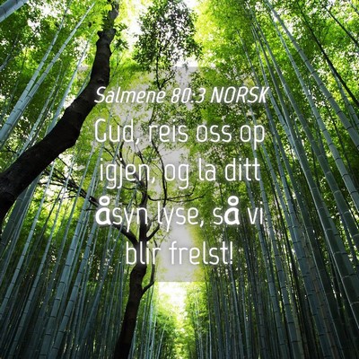 Picture 04 - Salmene 80:3 NORSK - Gud, reis oss op igjen, og la ditt åsyn lyse, - Bible Verse Picture
