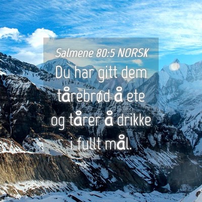 Picture 04 - Salmene 80:5 NORSK - Du har gitt dem tårebrød å ete og tårer å - Bible Verse Picture