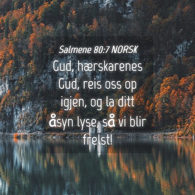 Picture 04 - Salmene 80:7 NORSK - Gud, hærskarenes Gud, reis oss op igjen, og la - Bible Verse Picture
