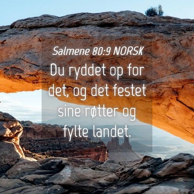Picture 04 - Salmene 80:9 NORSK - Du ryddet op for det, og det festet sine røtter - Bible Verse Picture