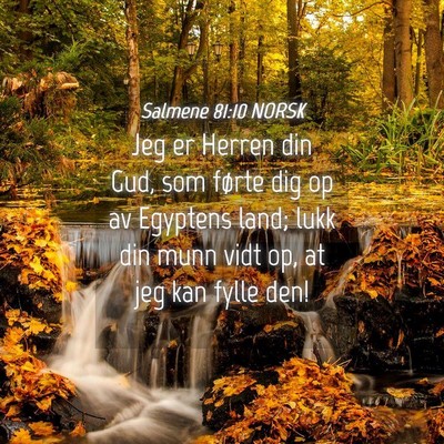 Picture 04 - Salmene 81:10 NORSK - Jeg er Herren din Gud, som førte dig op av - Bible Verse Picture