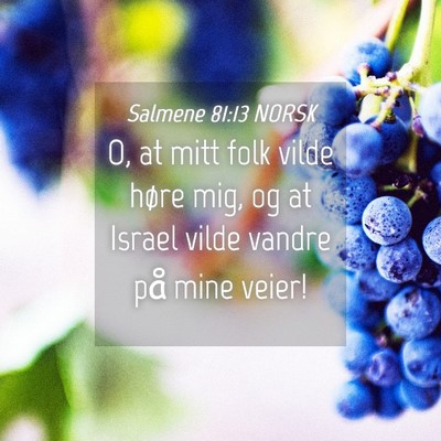 Picture 04 - Salmene 81:13 NORSK - O, at mitt folk vilde høre mig, og at Israel - Bible Verse Picture
